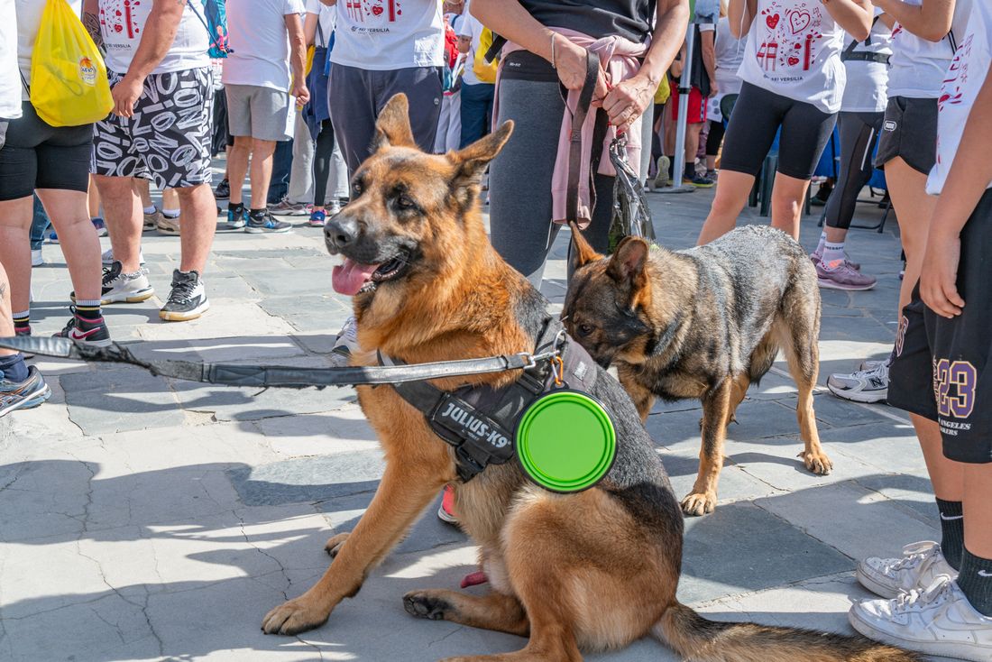 tn_DSC09519